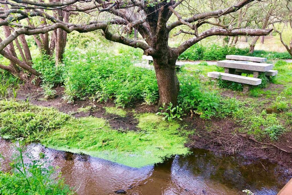 דירות פיניסטרה Junto Camino De Santiago,1ª Linea De Playa מראה חיצוני תמונה