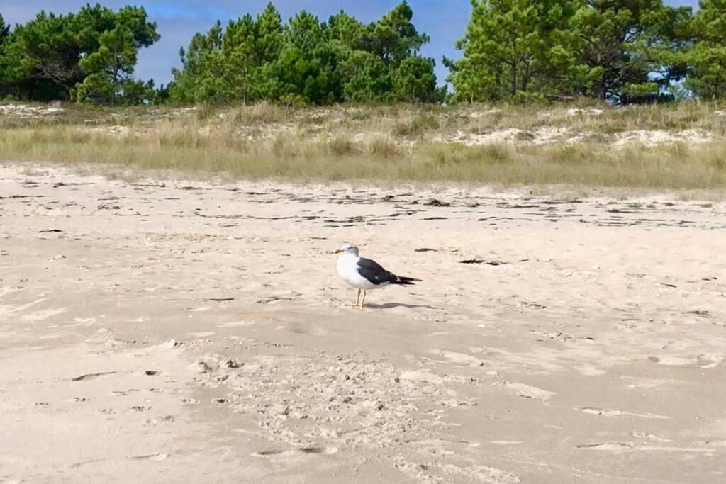 דירות פיניסטרה Junto Camino De Santiago,1ª Linea De Playa מראה חיצוני תמונה